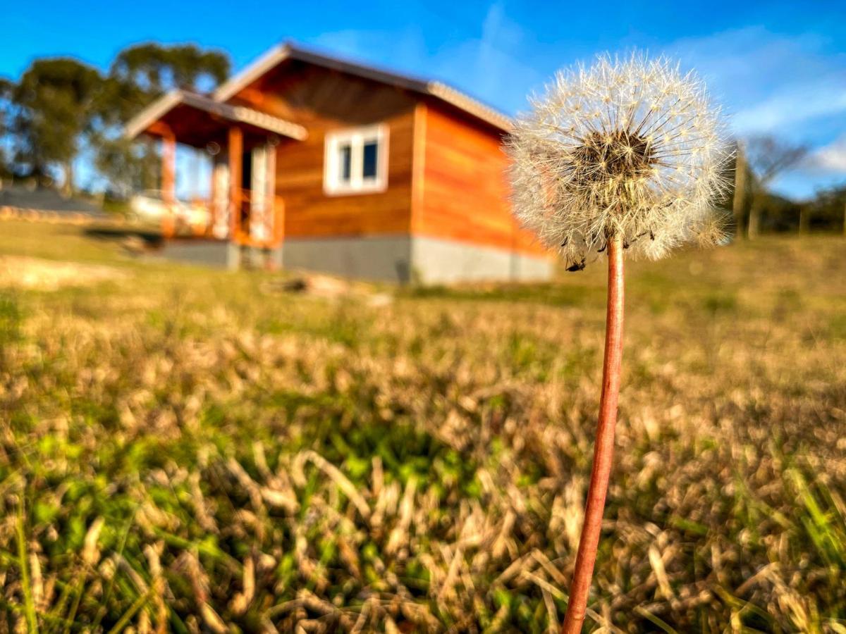 Pousada Flor Do Campestre Урубиси Экстерьер фото